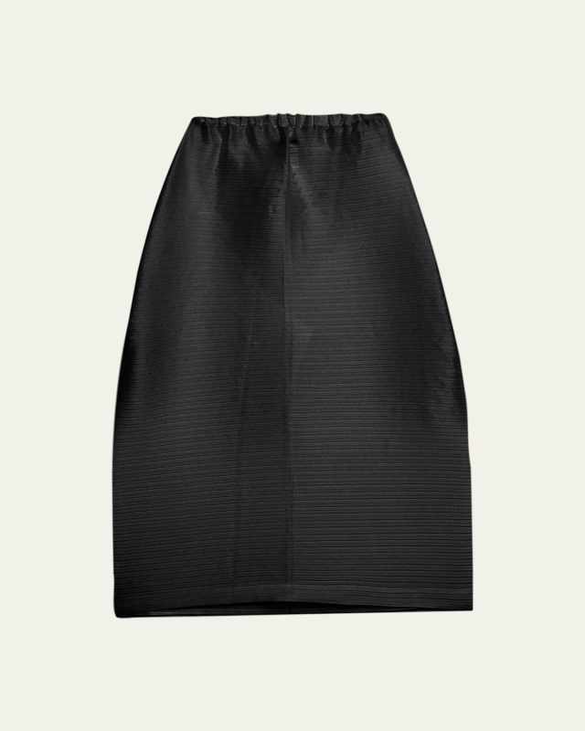 Long Paneled Pleats Skirt